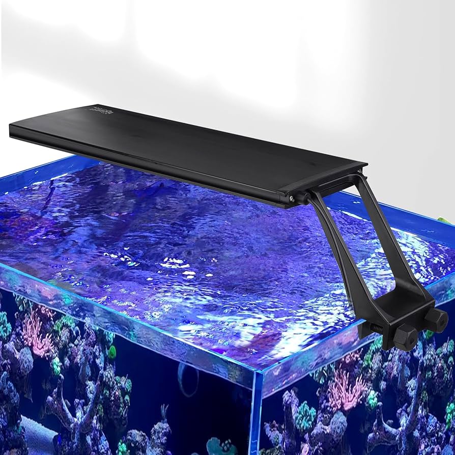 Amazon.com : hygger Clip On 24/7 Saltwater Aquarium LED